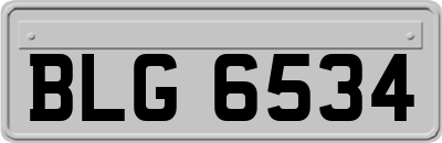 BLG6534