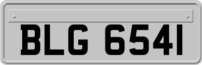 BLG6541