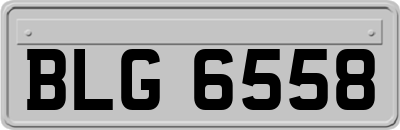 BLG6558