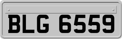 BLG6559