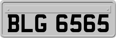 BLG6565