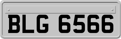 BLG6566