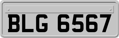 BLG6567