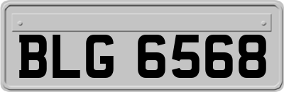 BLG6568
