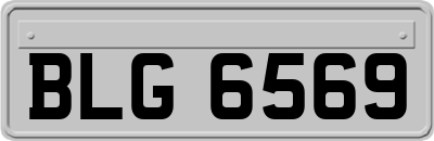 BLG6569