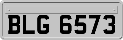 BLG6573
