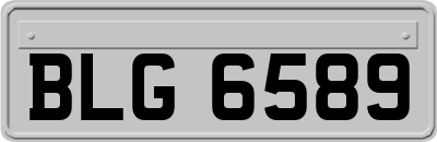 BLG6589