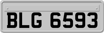 BLG6593