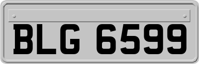 BLG6599