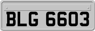 BLG6603