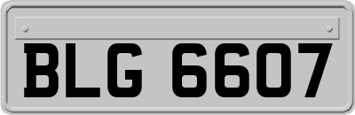 BLG6607