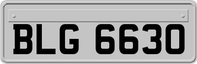 BLG6630