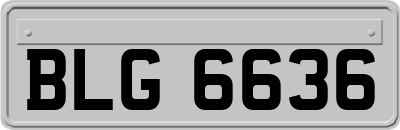 BLG6636