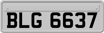 BLG6637