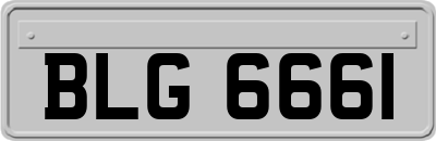 BLG6661