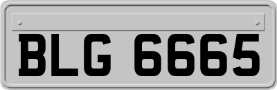 BLG6665