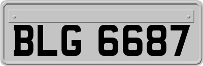 BLG6687