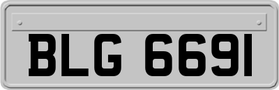 BLG6691