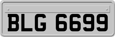 BLG6699