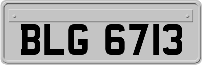 BLG6713