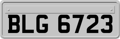 BLG6723