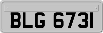 BLG6731