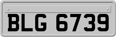BLG6739