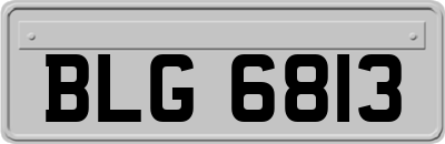 BLG6813