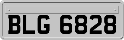 BLG6828