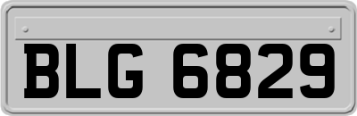 BLG6829