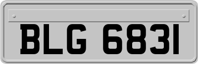 BLG6831