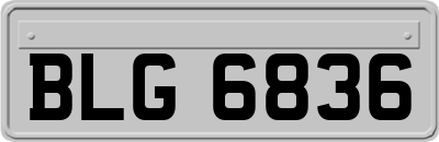 BLG6836