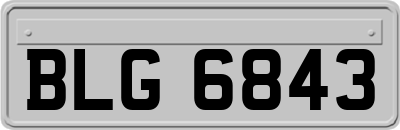 BLG6843