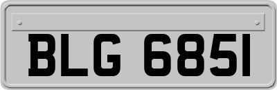 BLG6851