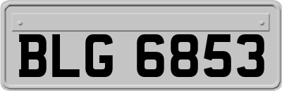 BLG6853