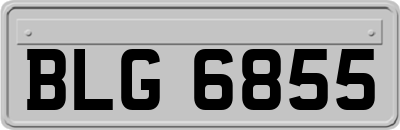 BLG6855