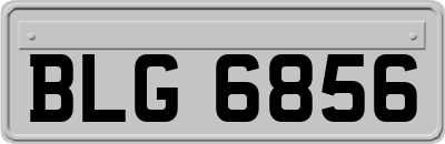 BLG6856