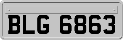 BLG6863