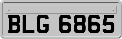 BLG6865