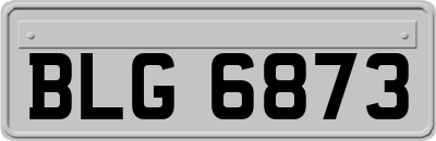 BLG6873