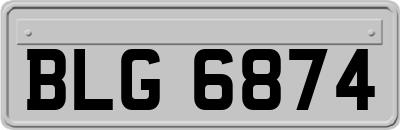 BLG6874
