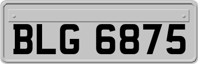 BLG6875