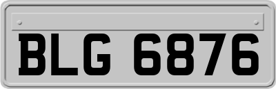 BLG6876