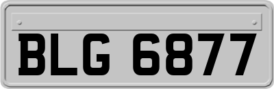 BLG6877