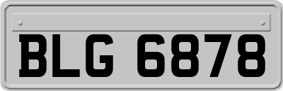 BLG6878