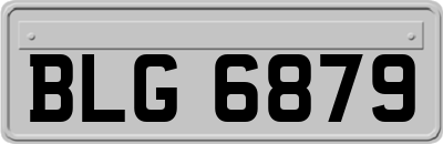 BLG6879