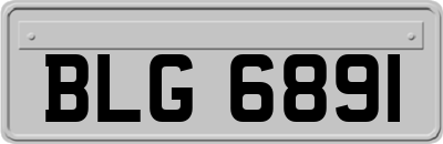 BLG6891