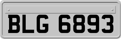 BLG6893
