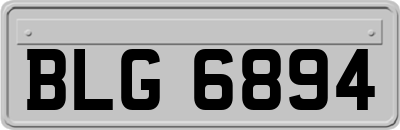 BLG6894