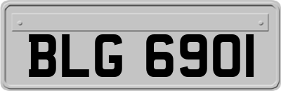 BLG6901